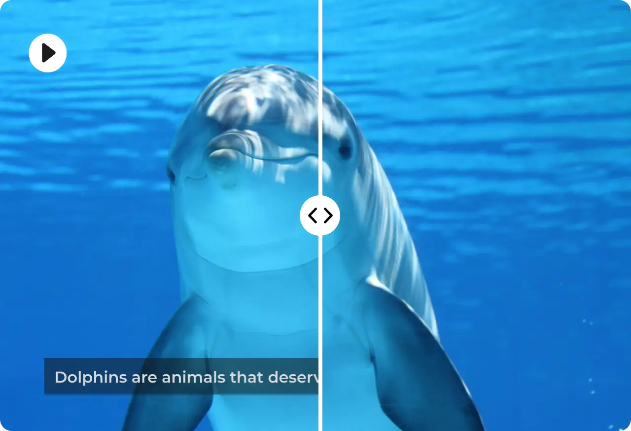 Clear Captions That Are Part of the Picture